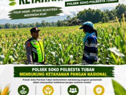 Polsek Soko Polresta Tuban Turun Langsung Cek Tanaman Jagung Warga
