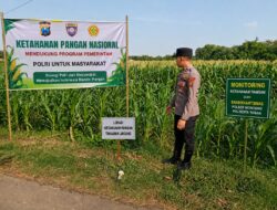 Polsek Montong Polresta Tuban Turun Cek Tanaman jagung Warga di Desa Ngulahan