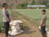 Bhabinkamtibmas Desa Rababaka Sambangi Warga, Ajak Dukung Program Pemerintah dan Jaga Produktivitas Bawang Merah