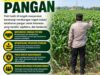 Polri Dukung Astacita, Polsek Merakurak Polres Tuban Turun Cek Tanaman Jagung Warga di Desa Tuwiri Wetan