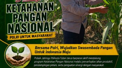 Dukung Asta Cita, Polsek Jatirogo Turun Langsung Pantau Ladang Jagung Warga Desa Paseyan