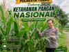 Dukung Astacita, Polsek Palang Polresta Tuban Pantau Langsung Lahan Jagung milik warga Desa Tasikmadu