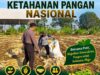 Polri Dukung Astacita, Polsek Semanding Polresta Tuban Turun Cek Tanaman jagung milik Warga di Desa Semanding
