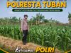 Polsek Tuban Pantau Lahan Jagung, Dukung Ketahanan dan Swasembada Pangan Nasional
