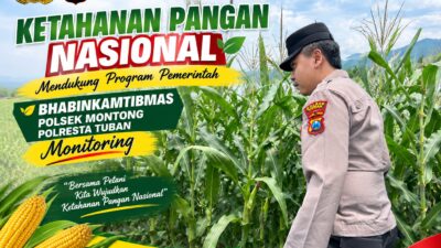 Polsek Montong Polresta Tuban Turun Cek Tanaman jagung Warga di Desa Pucangan