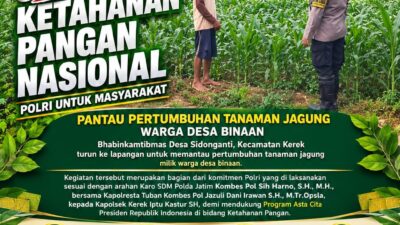 PANTAU PERTUMBUHAN JAGUNG, POLSEK KEREK POLRESTA TUBAN DUKUNG KETAHAN PANGAN NASIONAL