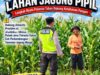 Polri Dukung Astacita, Polsek jenu Polres Tuban Turun Cek Tanaman Jagung Warga di Desa Jenu