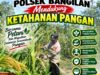 Polsek Bangilan Dukung Ketahanan Pangan Melalui Monitoring Tanaman Jagung