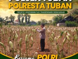 Polsek Tuban Pantau Lahan Jagung, Dukung Ketahanan Pangan Berkelanjutan