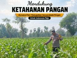 DUKUNG KETAHANAN PANGAN, ANGGOTA POLSEK PARENGAN POLRESTA TUBAN LAKSANAKAN SAMBANG DAN PENDAMPINGAN PANEN JAGUNG DI DESA SENDANGREJO KEC. PARENGAN