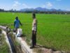 Dukung Ketahanan Pangan Nasional, Bhabinkamtibmas Polsek Utan Sambangi Petani di Desa Motong