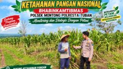 *Polsek Montong Polresta Tuban Turun Cek Tanaman jagung Warga di Desa Bringin*