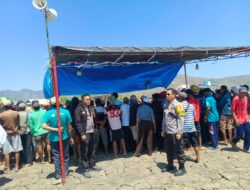 Kawal Tradisi Lokal, Polsek Alas Barat Amankan Gelaran Karapan Kerbau di Mapin Rea
