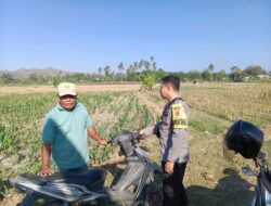 Dukung Ketahanan Pangan Nasional, Bhabinkamtibmas Desa Lekong Sambangi Petani Jagung dan Sosialisasikan Pekarangan Pangan Bergizi