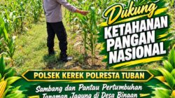 POLSEK KEREK LAKSANAKAN PEMANTAUAN TANAMAN JAGUNG DI DESA BINAAN, DEMI DUKUNG KETAHANAN PANGAN