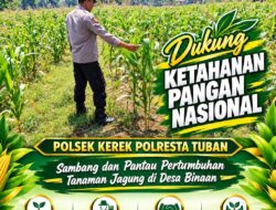 POLSEK KEREK LAKSANAKAN PEMANTAUAN TANAMAN JAGUNG DI DESA BINAAN, DEMI DUKUNG KETAHANAN PANGAN