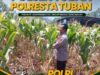 POLSEK KEREK LAKSANAKAN PEMANTAUAN TANAMAN JAGUNG DI DESA BINAAN, DEMI DUKUNG KETAHANAN PANGAN