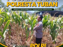 POLSEK KEREK LAKSANAKAN PEMANTAUAN TANAMAN JAGUNG DI DESA BINAAN, DEMI DUKUNG KETAHANAN PANGAN