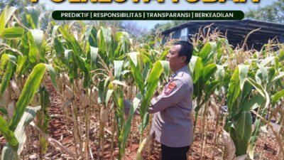 POLSEK KEREK LAKSANAKAN PEMANTAUAN TANAMAN JAGUNG DI DESA BINAAN, DEMI DUKUNG KETAHANAN PANGAN
