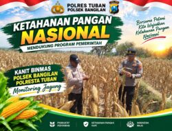Dukung Ketahanan Pangan Nasional, Polsek Bangilan Monitoring Tanaman Jagung