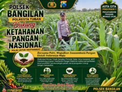 Dukung Ketahanan Pangan Nasional, Polsek Bangilan Aktif Dampingi Petani Jagung