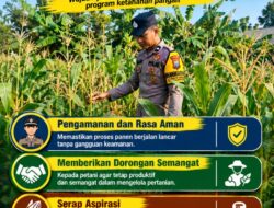 Mendukung Program Ketahanan Pangan, Bhabinkamtibmas Monitoring Pertumbuhan Jagung