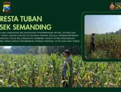 Polri Dukung Astacita, Polsek Semanding Polresta Tuban Turun Cek Tanaman jagung milik Warga di Desa Ngino