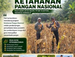 DUKUNG KETAHANAN PANGAN, ANGGOTA POLSEK PARENGAN POLRESTA TUBAN LAKSANAKAN SAMBANG DAN PENDAMPINGAN PANEN JAGUNG DI DESA SELOGABUS KEC. PARENGAN