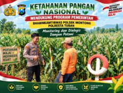Polsek Montong Polresta Tuban Turun Cek Tanaman jagung Warga di Desa Ngulahan