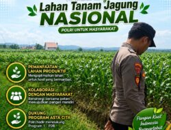 Anggota Polsek Singgahan Polresta Tuban Turun Cek Tanaman jagung Warga di Desa Lajo lor