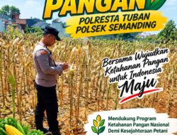 Polri Dukung Astacita, Polsek Semanding Polresta Tuban Turun Cek Tanaman jagung milik Warga di Desa Penambangan