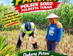 Polsek Soko Polresta Tuban Turun Langsung Cek Tanaman Jagung Warga