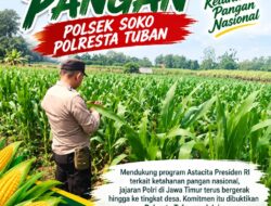 Polsek Soko Polresta Tuban Turun Langsung Cek Tanaman Jagung Warga