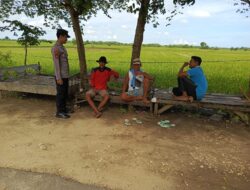 Dukung Asta Cita Presiden RI, Polsek Tambakboyo Terjun ke Sawah Dampingi Petani Wujudkan Ketahanan Pangan