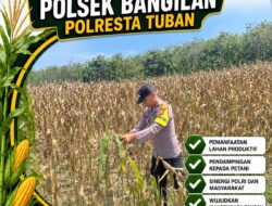 POLSEK BANGILAN DUKUNG KETAHANAN PANGAN