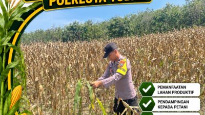 POLSEK BANGILAN DUKUNG KETAHANAN PANGAN