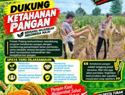 Dukung Astacita, Polsek Palang Polresta Tuban Pantau Langsung Lahan Jagung milik warga Desa Dawung