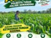 Polri Dukung Astacita, Polsek Semanding Polresta Tuban Turun Cek Tanaman jagung milik Warga di Desa Sambongrejo