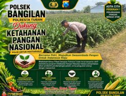 Mendukung Program Ketahanan Pangan, Bhabinkamtibmas Monitoring Pertumbuhan Jagung