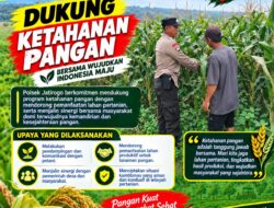 Polri dukung progam Astacita, Polsek Jatirogo Polresta Tuban Turun Cek Tanaman jagung Warga di Desa Dingil
