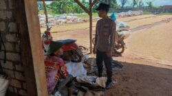 Kawal Program Asta Cita, Polsek Tambakboyo Hadir Dampingi Petani Jemur Hasil Panen Jagung