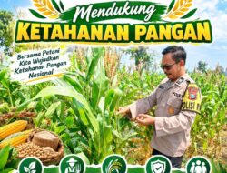 Polisi RW Polsek Senori Polresta Tuban Monitoring Tanaman Jagung Warga Desa Medalem