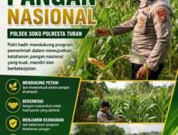 Polsek Soko Polresta Tuban Turun Langsung Cek Tanaman Jagung Warga