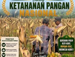 Dukung Ketahanan Pangan Nasional, Polsek Bancar Turun Ke Lahan Jagung Warga Desa Ngujuran