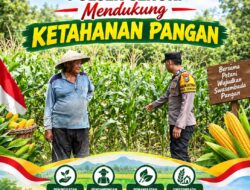 Bhabinkamtibmas Polsek Senori Polresta Tuban Pantau Tanaman Jagung Warga Desa Sendang Guna Dukung Ketahanan Pangan Nasional