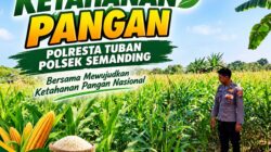 Polri Dukung Astacita, Polsek Semanding Polresta Tuban Turun Cek Tanaman jagung milik Warga di Desa Prunggahan Wetan