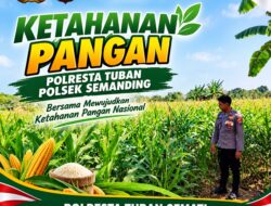 Polri Dukung Astacita, Polsek Semanding Polresta Tuban Turun Cek Tanaman jagung milik Warga di Desa Prunggahan Wetan