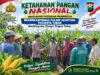Mendukung Asta Cita Presiden bhabinkamtibmas Polsek Montong Polresta Tuban Pantau Kodisi Tanaman Jagung Milik Warga Desa pakel