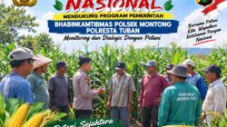 Mendukung Asta Cita Presiden bhabinkamtibmas Polsek Montong Polresta Tuban Pantau Kodisi Tanaman Jagung Milik Warga Desa pakel