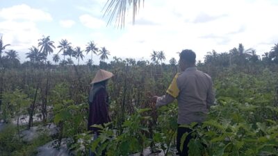 Bhabinkamtibmas Desa Kesik Cek Lahan Ketahanan Pangan Bergizi, Dukung Kemandirian Pangan Warga
